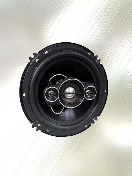 Speaker