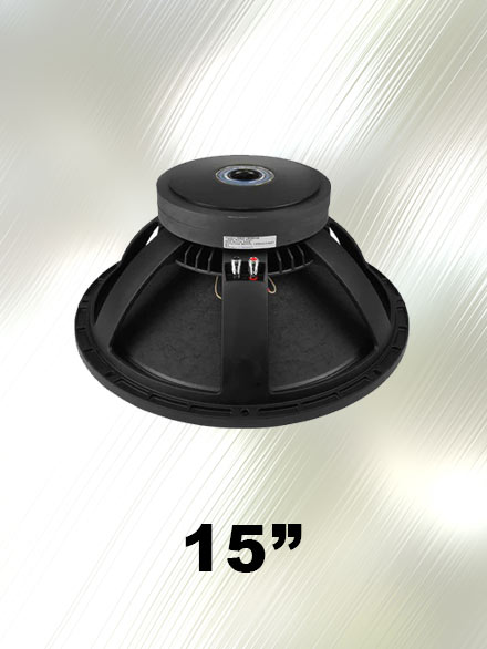 Speaker