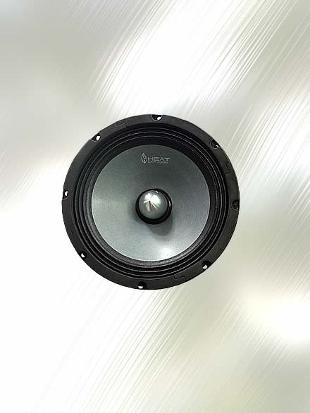 Speaker