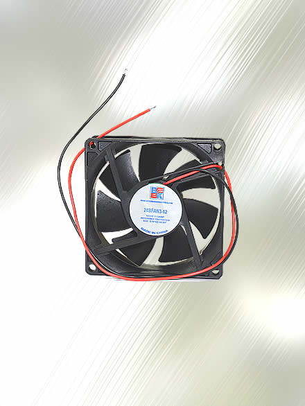 Fan